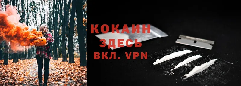 Кокаин VHQ  Касимов 